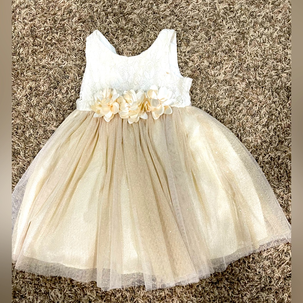 Youngland Girls tulle and gold dress size 3t
